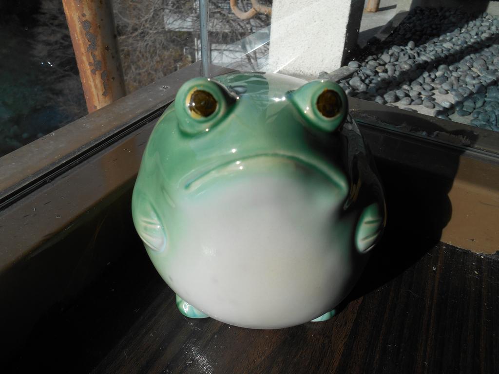 Kinugawaonsen Fukumatsu Hotel Нико Екстериор снимка