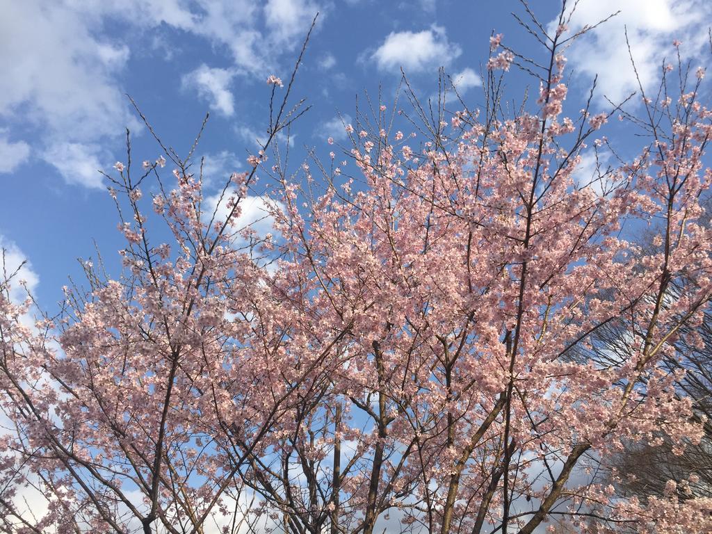 Kinugawaonsen Fukumatsu Hotel Нико Екстериор снимка
